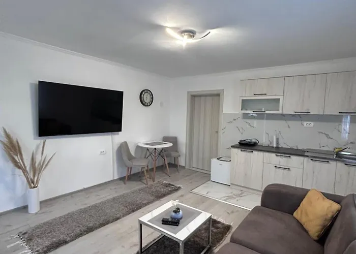 Apartment Airport Dd